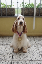 MVP Litoměřice CAJC